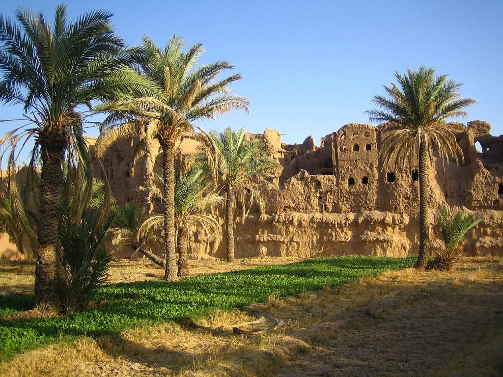 نخلستان و بنای خشتی قدیمی در دل کویر مرکزی ایران