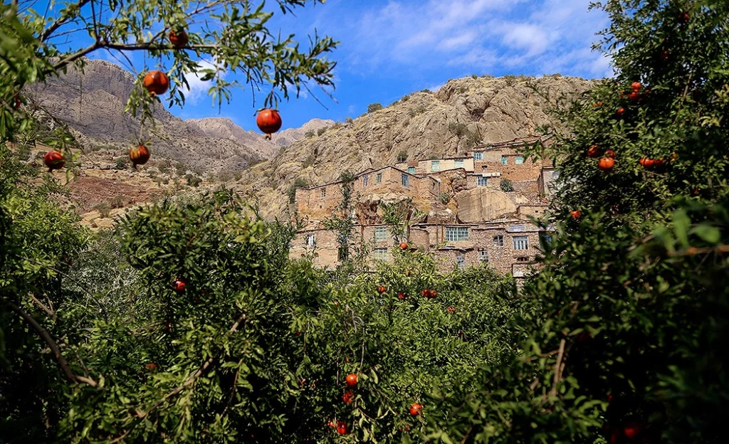 درختان انار پر از میوهٔ رسیده جلوی خانه‌های سنگی و پلکانی روستای ژیوار در هورامان، زیر کوه‌های صخره‌ای