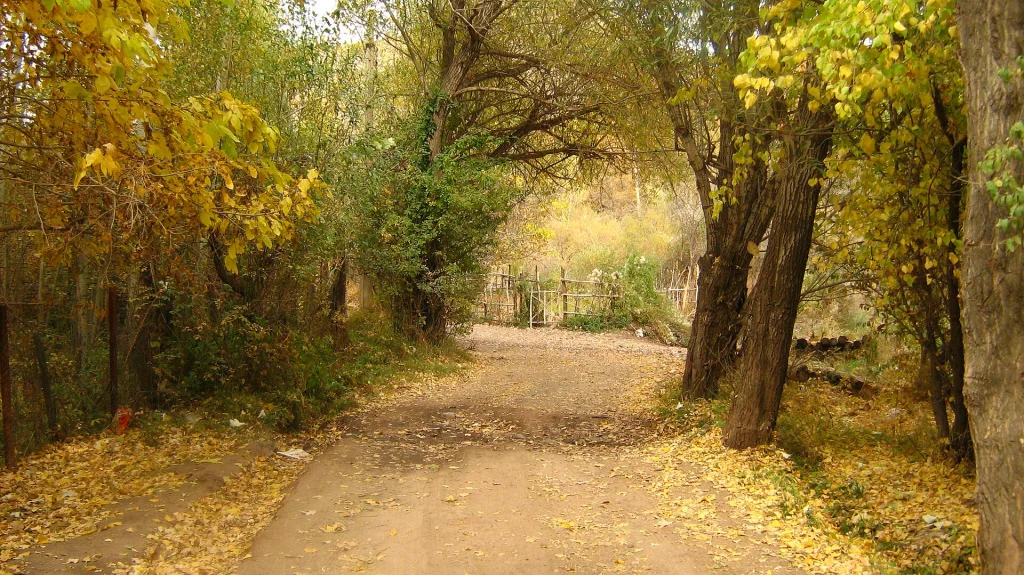 کوچه‌باغ خاکی روستای جوستان طالقان در پاییز؛ درختان زردشده دو طرف راه، برگ‌های ریخته روی زمین و پرچین چوبی ته مسیر