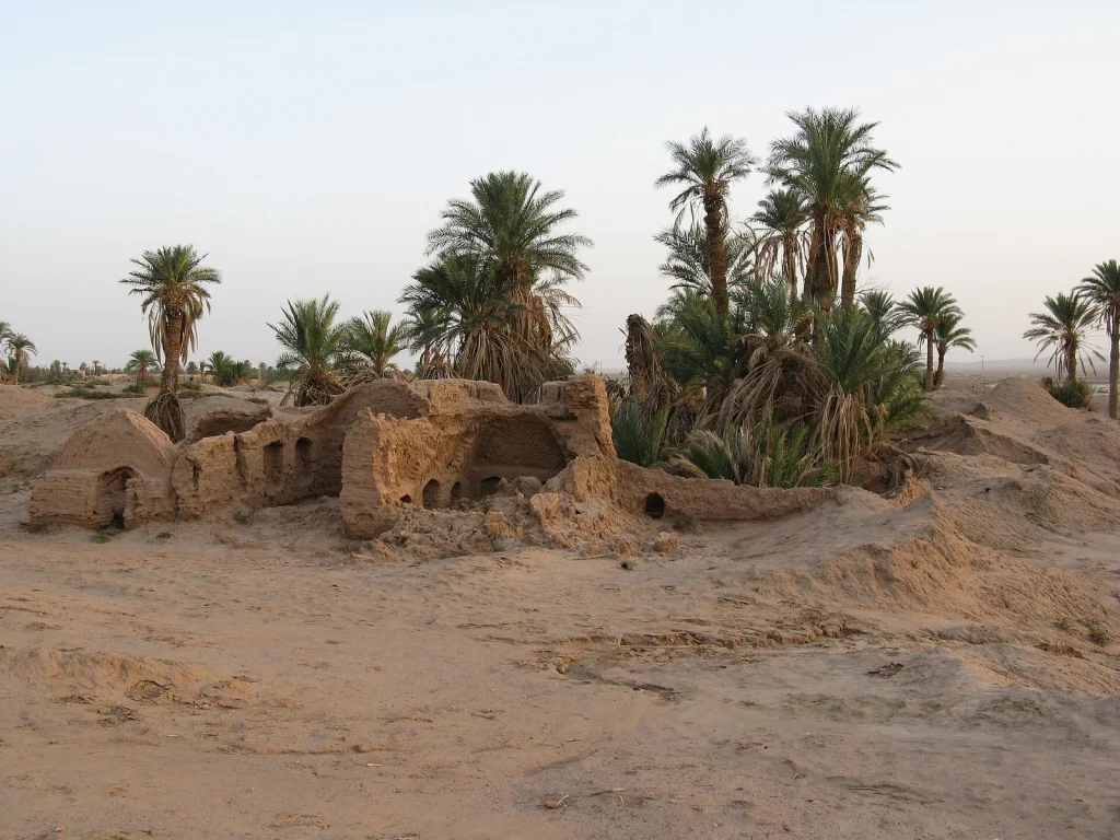 نخل‌های خرما کنار خرابه‌ای خشتی روی زمین شنی، در حاشیهٔ روستای مهرجان در خور و بیابانک